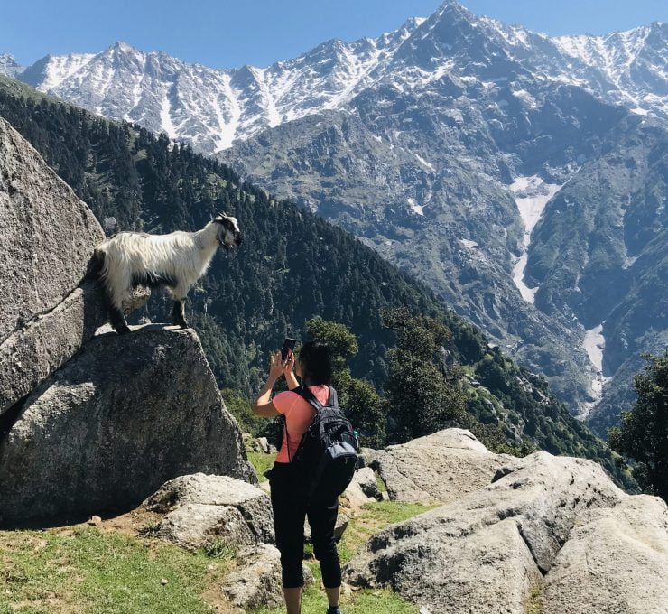 Day Hike to Triund