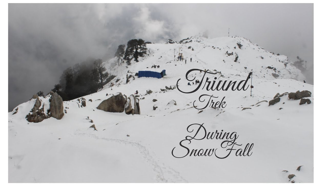 Triund Trek during Snowfall | Dec 2020 | Complete Guide | Himalayas | Mountains | Dharmshala