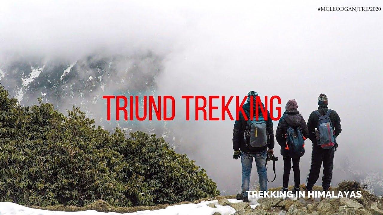 TRIUND TREKKING | TRIUND SNOWFALL TREKKING | MCLEODGANJ TO TRIUND