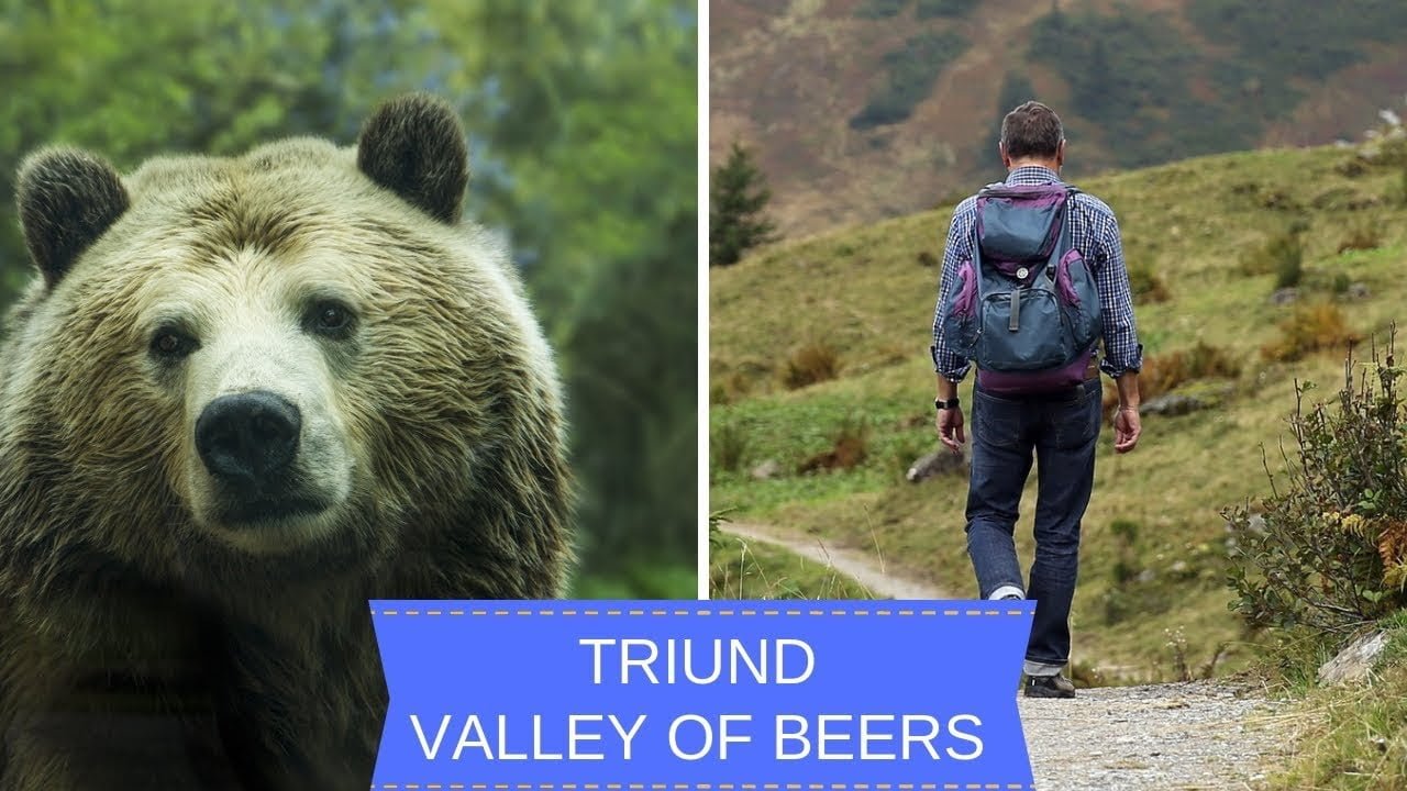 Triund Trek I Valley Of Bears I 1 Day Tour I Himachal Pardesh