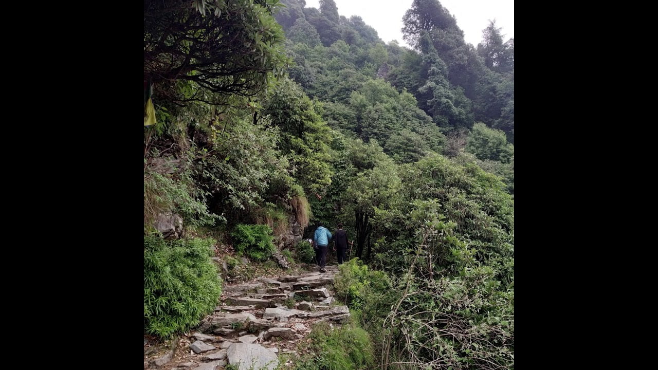 Triund trek in June | Mcleod Ganj | Exploring Himachal Pradesh