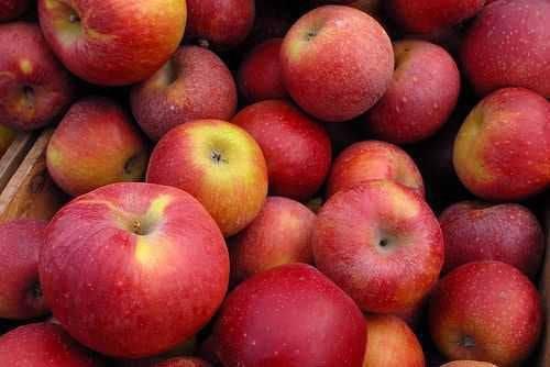 Climate change to reduce apple production in HP, even geoengineering methods to have less impact on output: Study